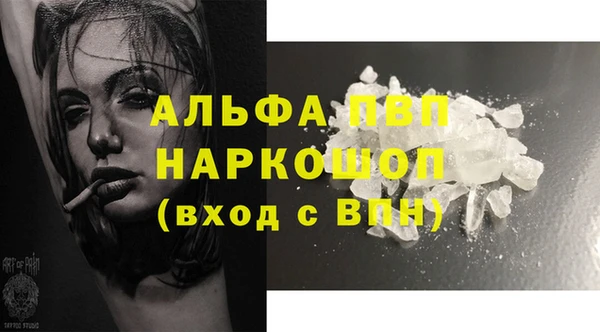 молекула духа Белоозёрский