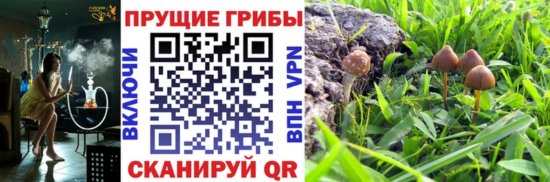 Галлюциногенные грибы мицелий  Хвалынск 